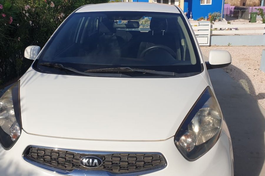 kia picanto von curacao max in weiß