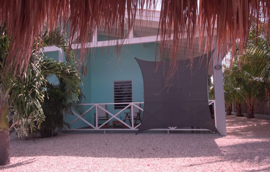Paradise Apartments 1
