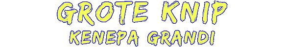 der grote knip titel
