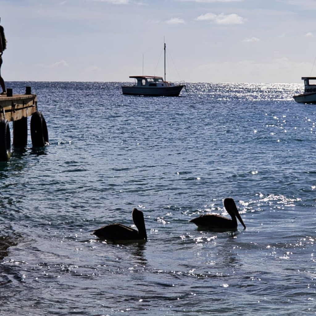 playa piskado 18
