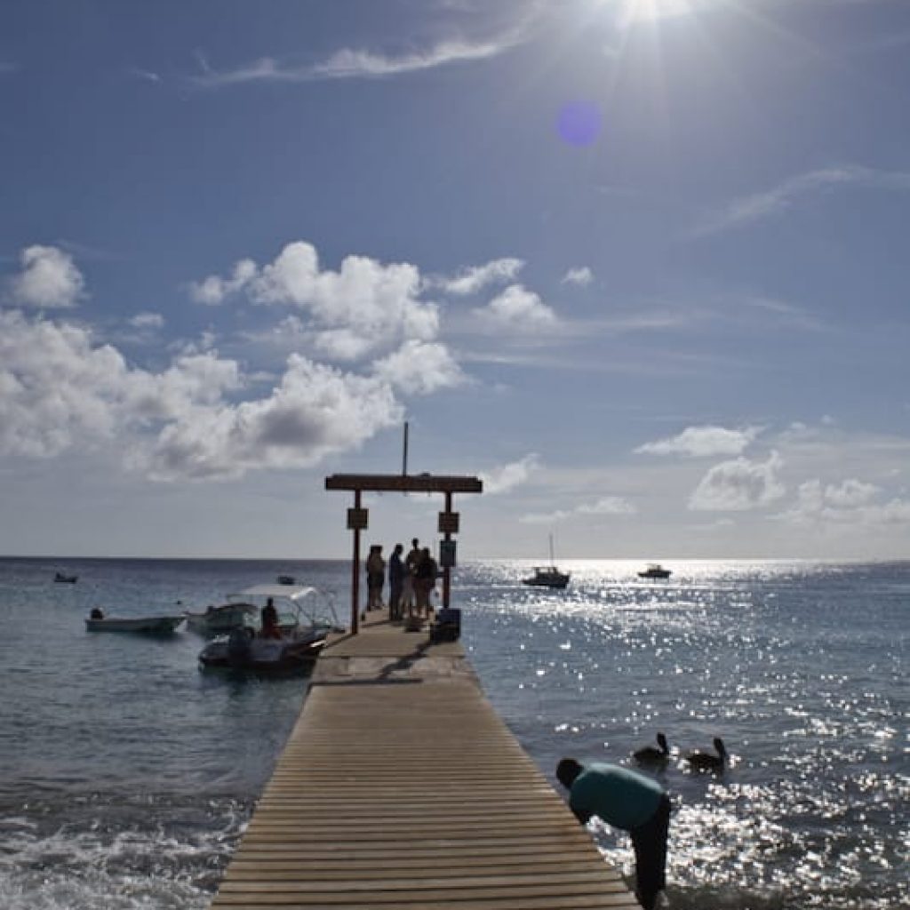 playa piskado 16